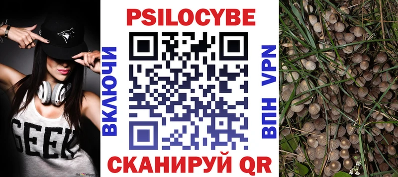 дарк нет клад  закладка  Каргат  Галлюциногенные грибы Psilocybine cubensis 