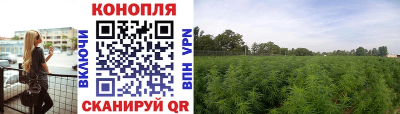 Марихуана SATIVA & INDICA Каргат